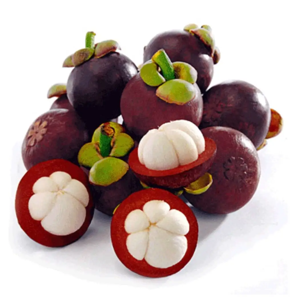 Свежий мангостин из Таиланда