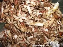 SHRIMP SHELL  FROM VIETNAM / CONTACT TO +84 911 695 402