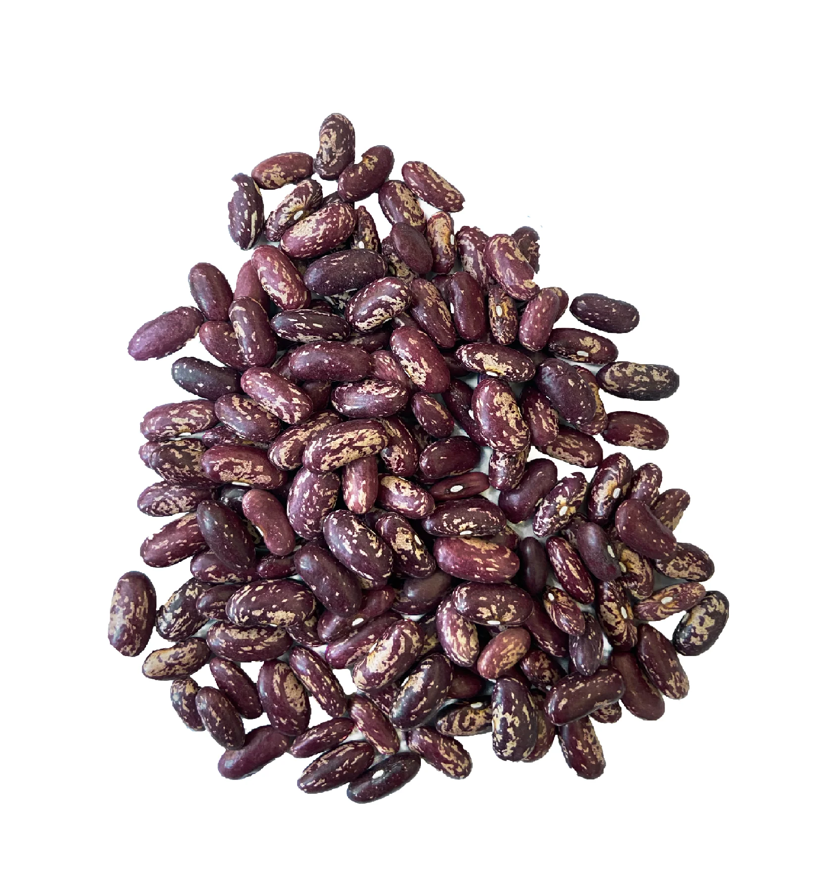 Crop 2021 October wholesale high quality from Uzbekistan bags 25 kg natural dried red speckled beans