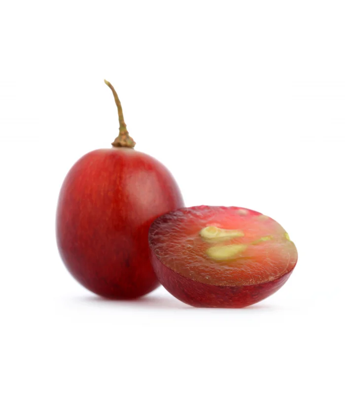 Free Sample of Body Massage Oil Grape Seed oil