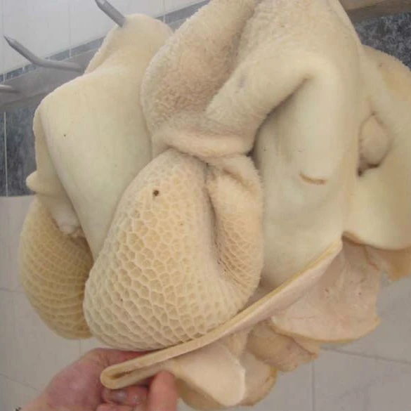 Wholesale Frozen Beef Omasum For Sale In Cheap Price Bulk Quantity Available