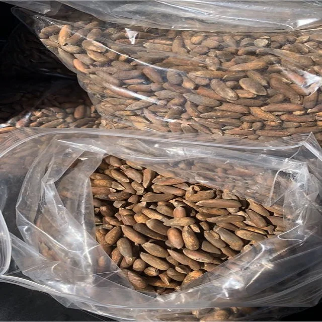 pine nuts.jpg