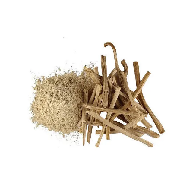 Wholesale Supplier of Shatavari Powder: Authentic Ayurvedic Asparagus racemosus Herbal Medicine