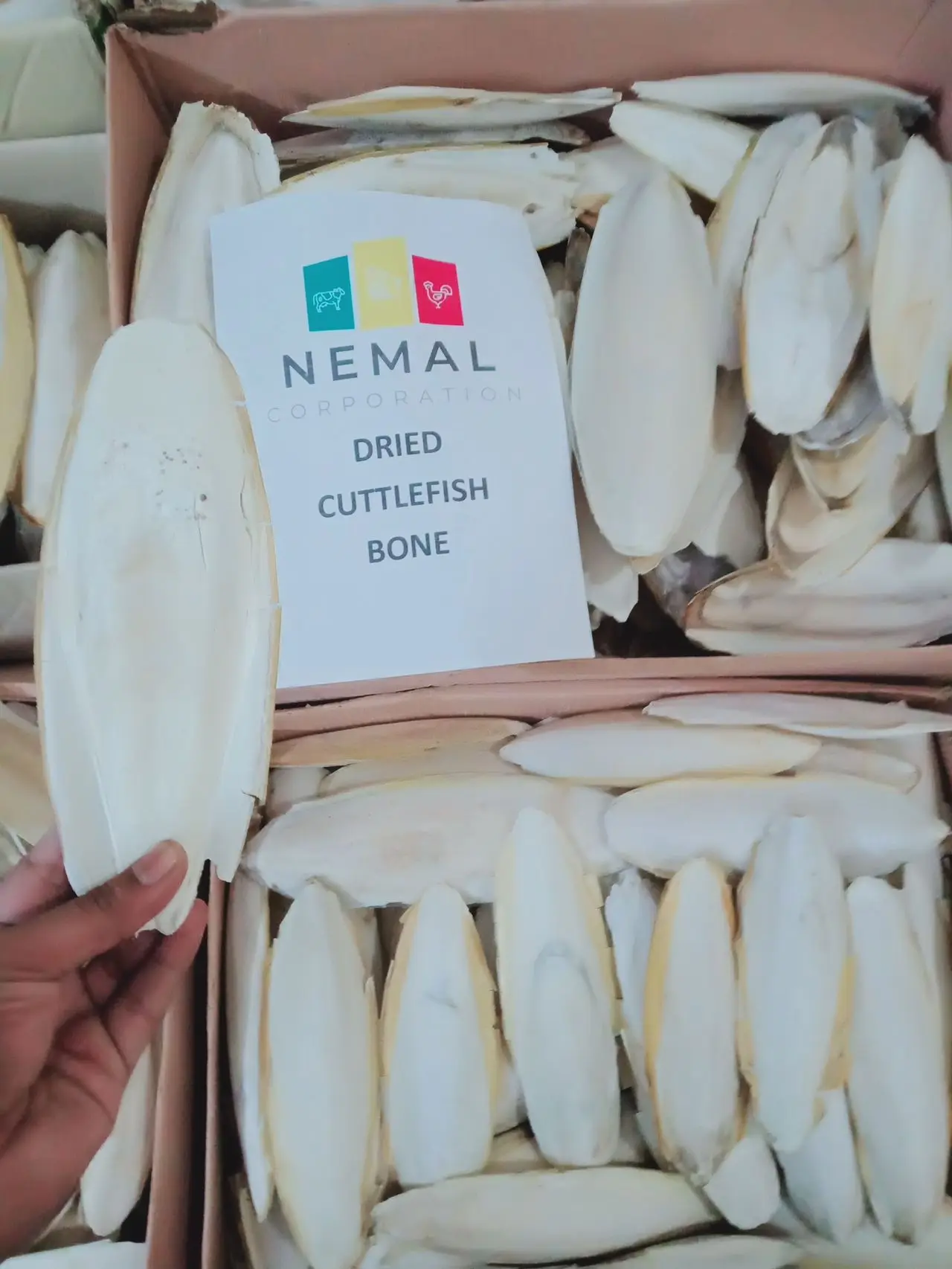 
Dry Nutritive Cuttlebone 