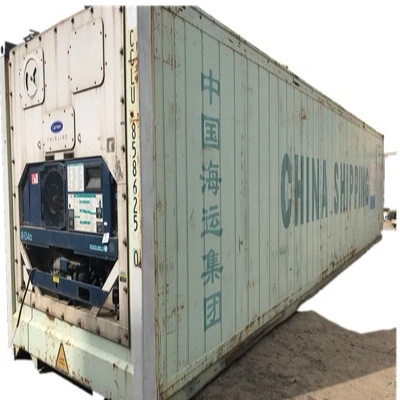 Standard Brand New 20FT 40FT Reefer Refrigerated Container Cheap Price