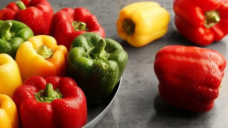 
Frozen bell pepper/sweet bell pepper from Vietnam with best price_Vikafoods (+84983028718) 