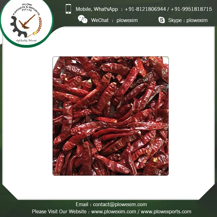
Dried Long Red Chillies from India 