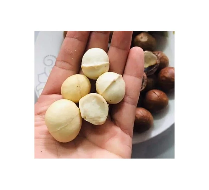 Органические жареные орехи макадамия в скорлупе сушеные сырые для использования пище whatsapp 0084587176063