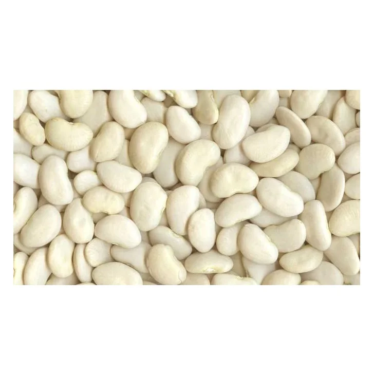 
High Quality Large Lima Beans Available For Sale 