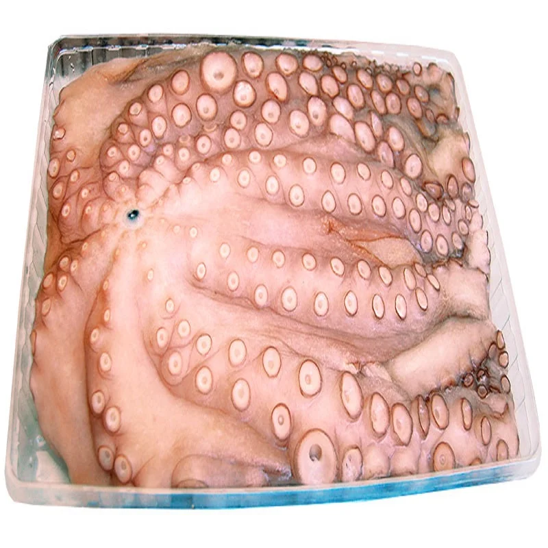 
Best Export Quality Frozen Whole Octopus 