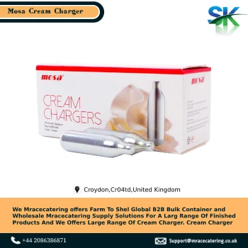 Hot selling reliability manufactured security product and very durable Gas charger