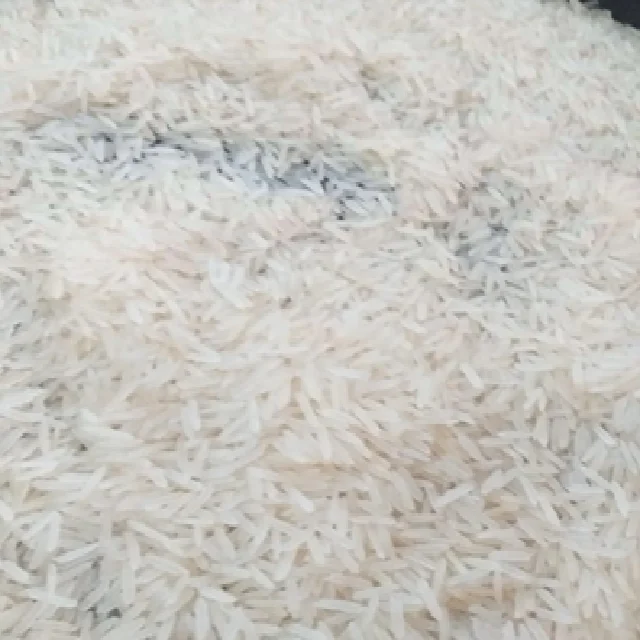 Best Quality of  SUGANDHA WHITE SELLA  Basmati Rice from Indian Origin with Best Price in whole sale