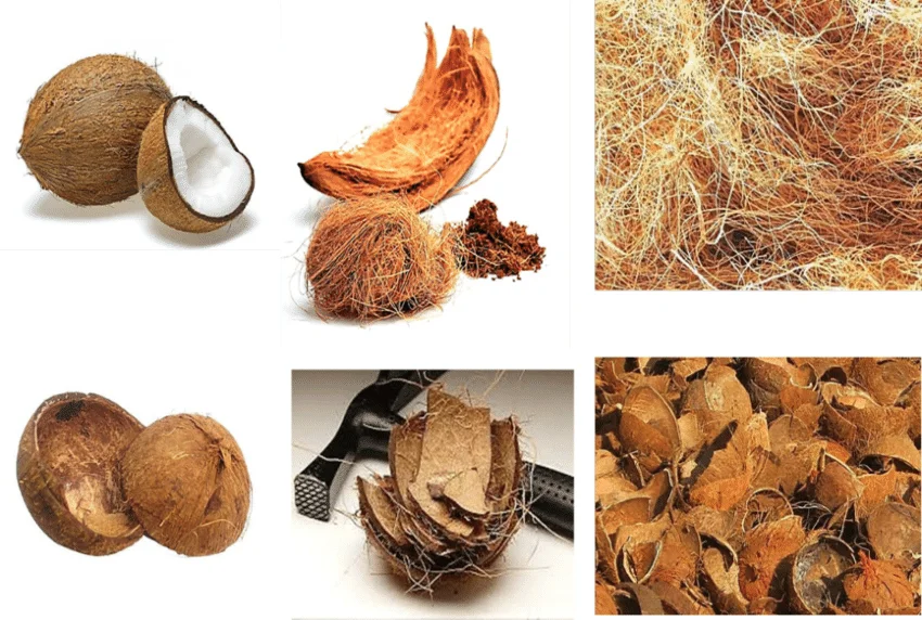 Coconut Products from Viet Nam- coconut fiber machine In Viet Nam -  coconut fiber rope making machine Viet Nam. +84 366 1368 39