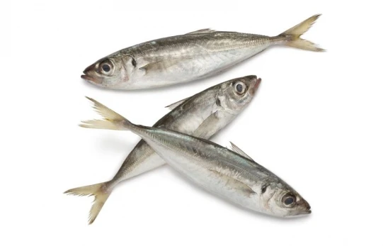TOP SELLER FROZEN HORSE MACKEREL FROZEN SEAFOOD IQF Frozen Fish Food (Thai Lien Company, Ms Phuong: +84789196389)