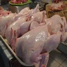 Brazil Grade A Frozen Chicken feet and chicken paws