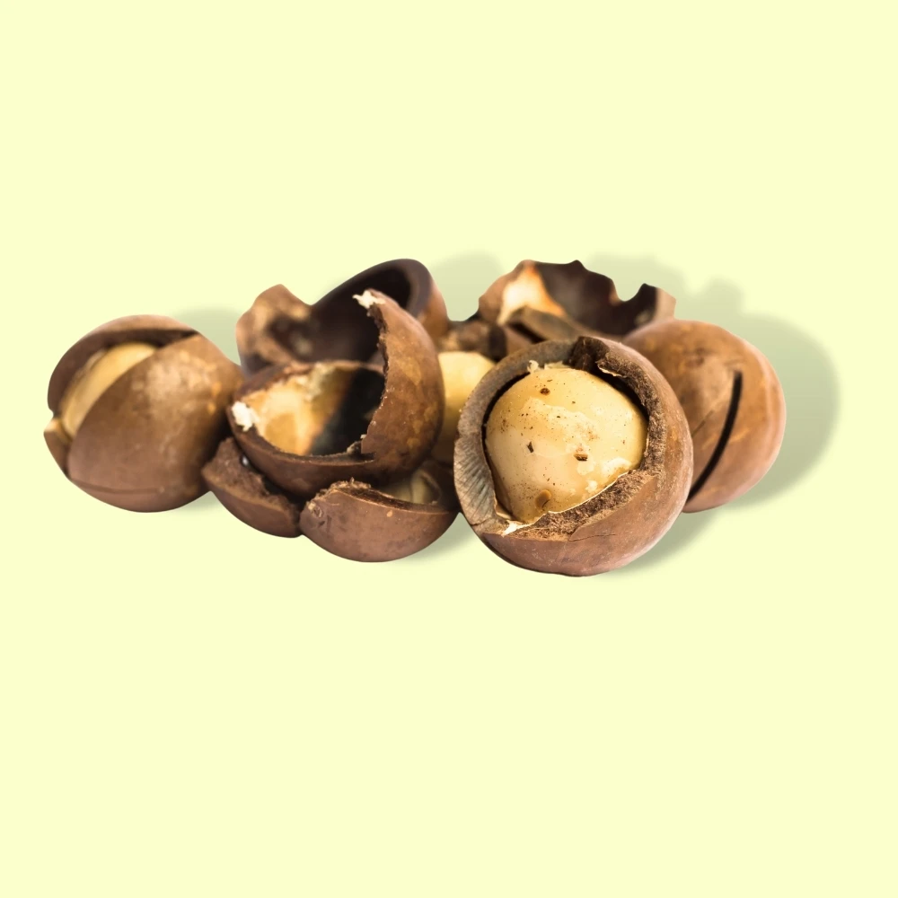  Лидер продаж 2021 орех макадамии Органическая упаковка для здоровых закусок орехов