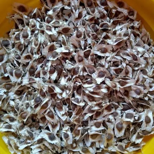 100% Moringa dry leaf Extract oleifera powder seed oil 0.20% Alkaloids by GV USP EU Grade ISO 22000