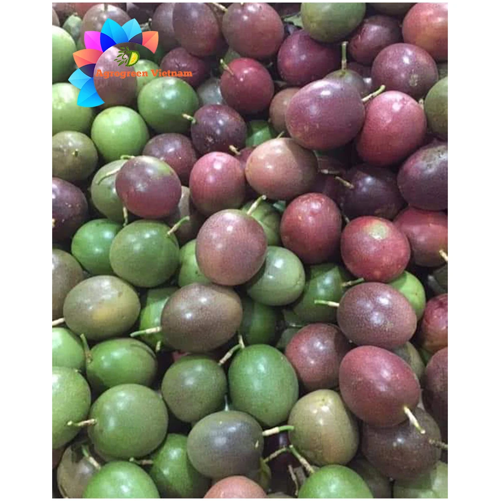 Factory customization frozen passion juice fruit soft drinks drink fruit made in Vietnam