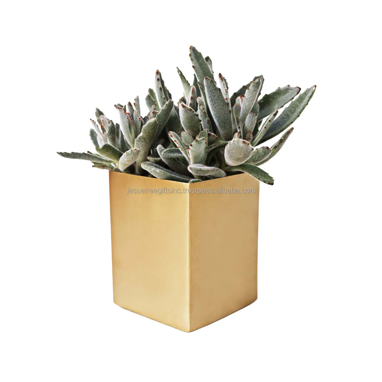 Metal Sheet Planter With White Powder Coating Finishing Embossed Design Oval Shape Genuine Quality For Garden Decoration