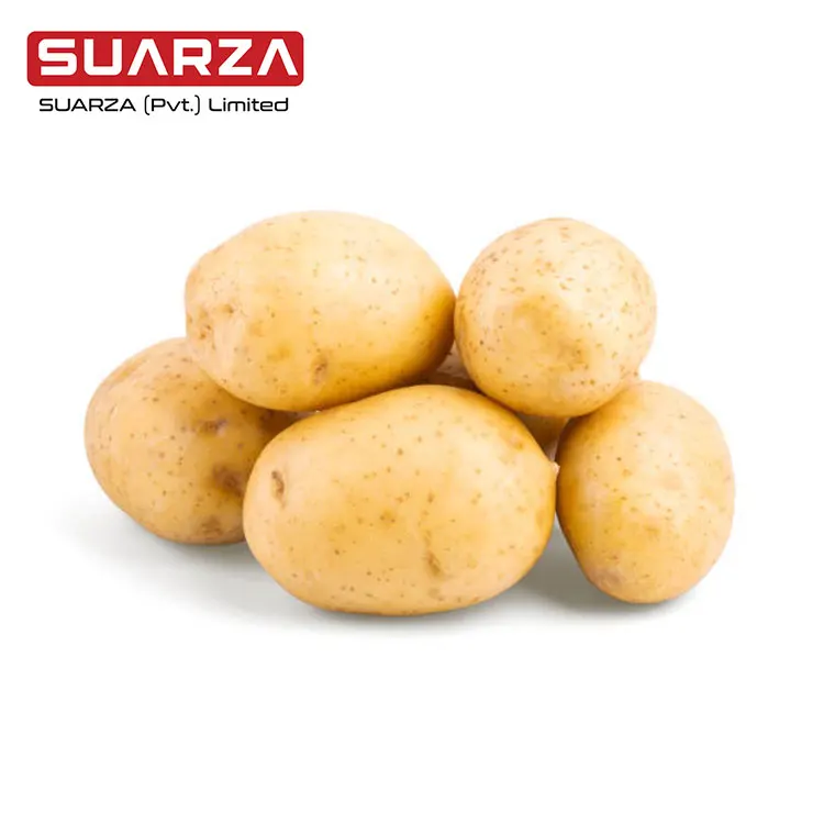Свежий картофель Mozika хорошего качества для Кувейта и Саудовской Аравии