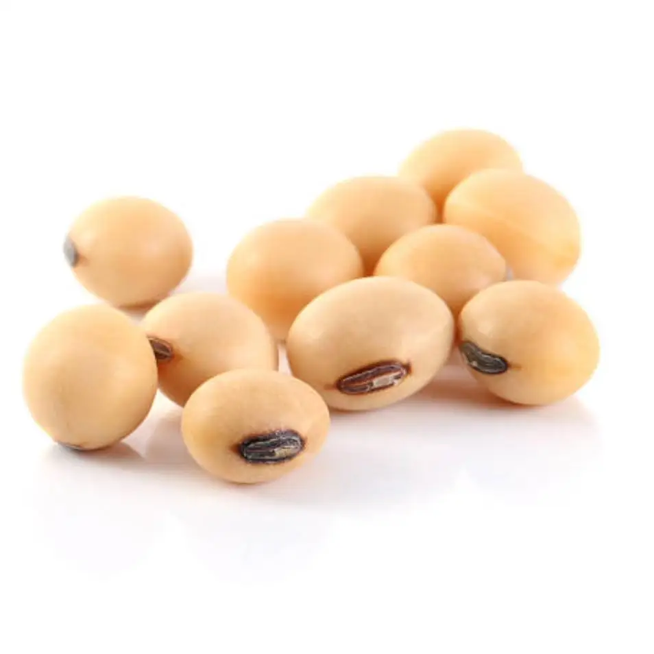 
High Protein NON-GMO Soya Beans 