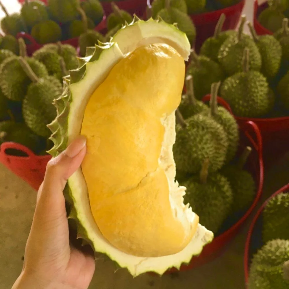 Premium Quality Kan Yao from Thailand Fresh Durian Fruits Product