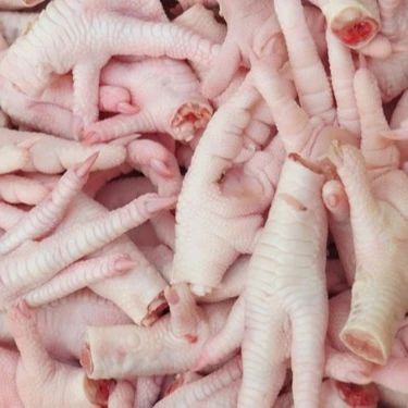 Frozen Chicken Feet Frozen Chicken Paws MJW Breasts Halal Frozen Whole Chicken