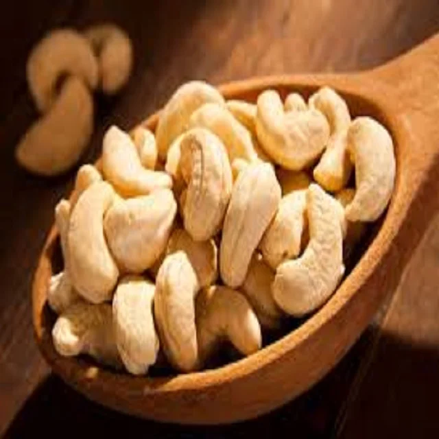 Dried Style and Raw Processing VIETNAM CASHEW NUTS IMPORT