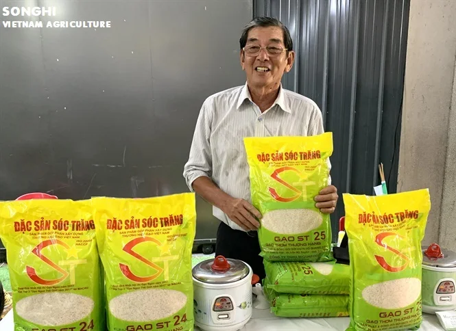 
High quality Asian Rice / Best Rice awarded / Competitive price and Best Service from Vietnam (ST24) 