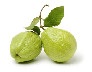 Sweet Crunchy fruits Rich in nutrient antioxidants High Vitamin C Fiber Organic fresh Guava From Malaysia
