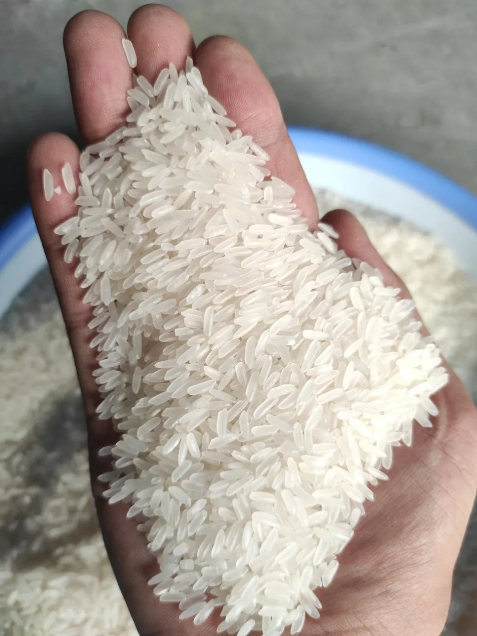 Jasmine Rice Fragrant New Crop RIZ AU JASMIN ARROZ Strong Perfume Long Grain Max Sortex LINDA WHATSAP 0084 989 322 607