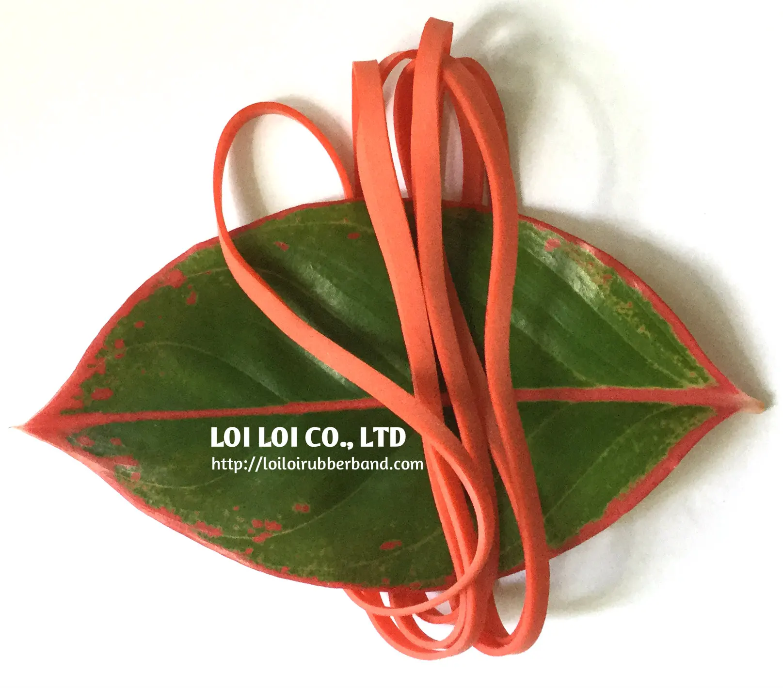Wide Rubber Band 2022 Popular High Quality Wide BLUE and RED Color Rubber Band Elastic Natural Made in Vietnam