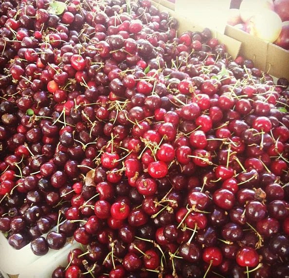 
Wholesale cherry fresh with great quality 