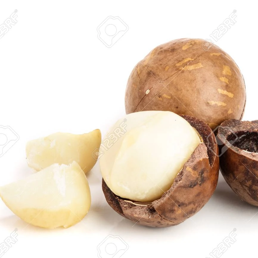 
Macadamia nuts / roasted macadamia / organic macadamia nuts 