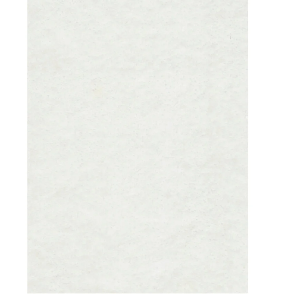 
Wholesale Modern Rectangle Wall to Wall Carpet Royal Touch 100% Nylon For Entrance Hallway Study Use 