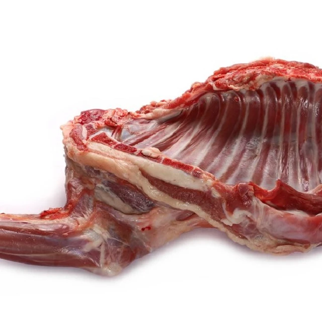 HALAL FRESH / FROZEN GOAT / LAMB / SHEEP MEAT / CARCASS