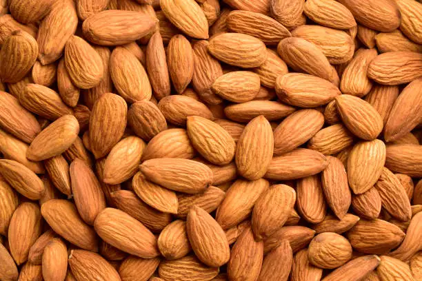 Almond 4.jpg