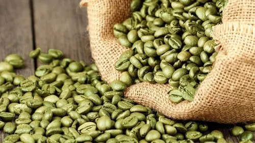 Good price arabica green coffee beans High Quality  Coffee By Vietnam Agri brand