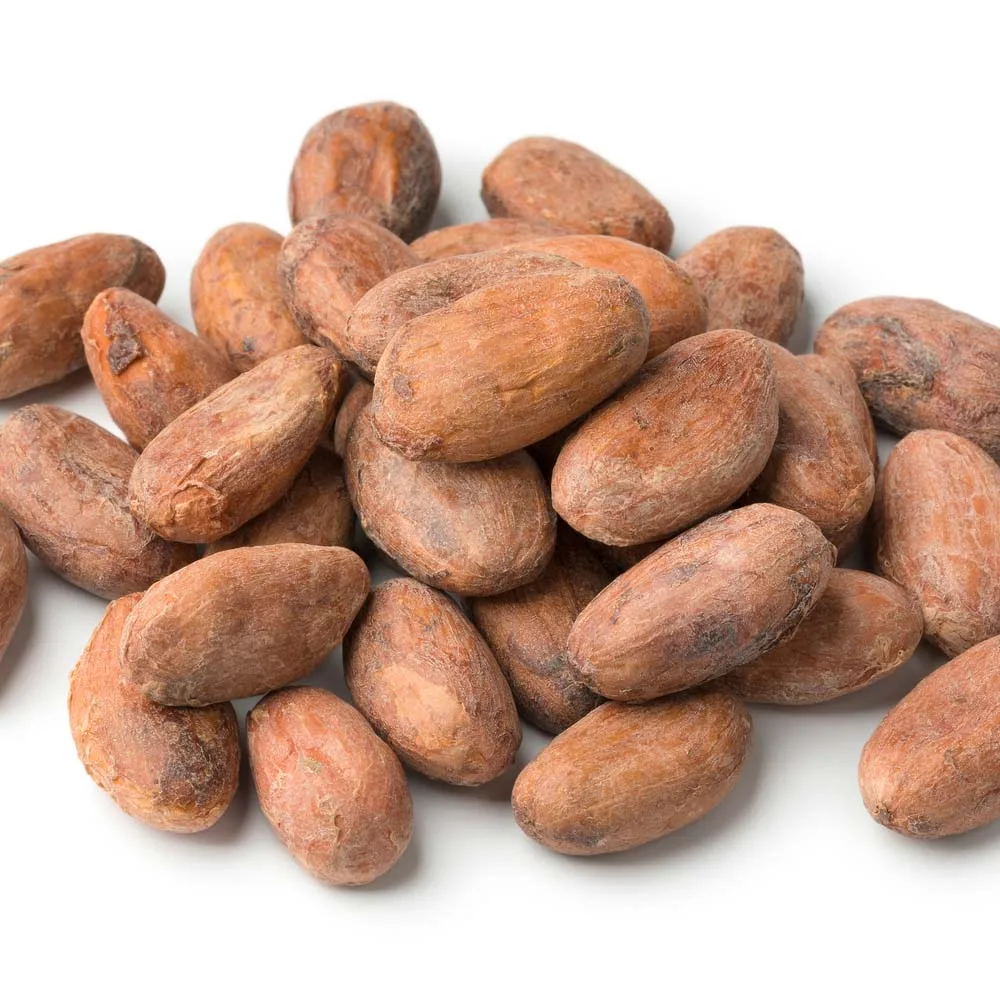 Cacao Beans ,Dried Criollo Cocoa Beans ,Organic Roasted Cacao Beans cheap prices