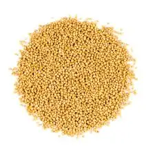 Superior Quality 100% Pure and Natural Yellow Mustard Seeds at Wholesale Price Manufactured from India