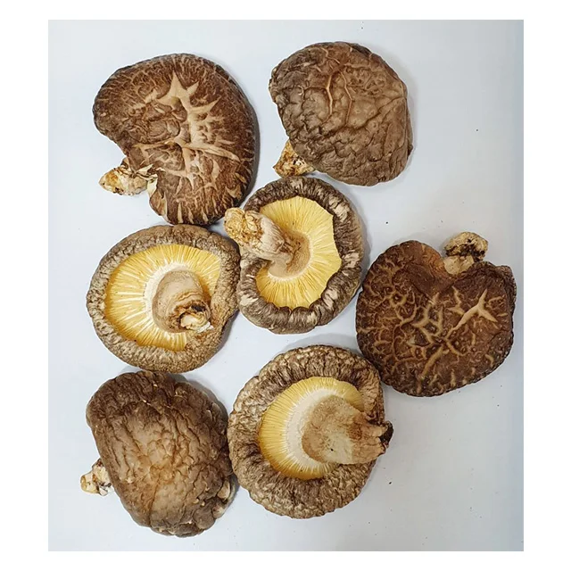  Сухой экстракт грибов Shiitake в Корейском стиле органический Урожай Shinnong 4 ~ 5 см коричневый свежий