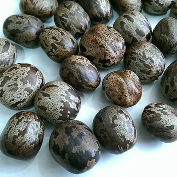 
Best and high supply of natural dried rubber seeds for sale 