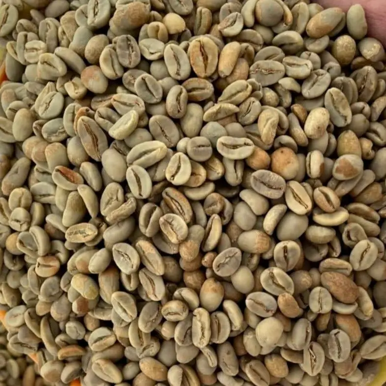 ARABICA GREEN BEAN COFFEE ACEH INDONESIA BEST QUALITY SPECIALTY FULL WASH DRY HULLER