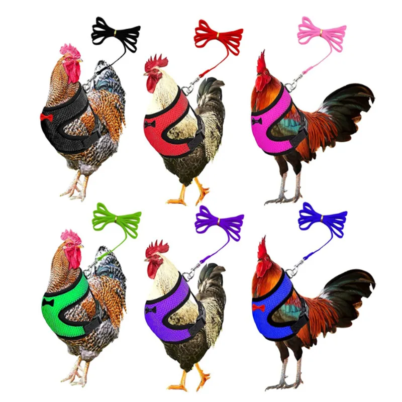 Pet Goose Duck Mesh Harness Breathable Chicken Vest Harness with leash For Walking Training