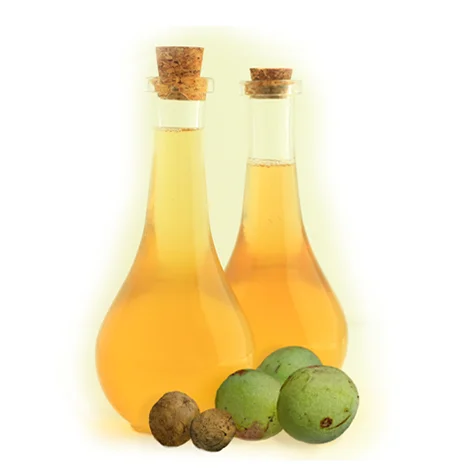 Marula Oil Seller/ Suppliers