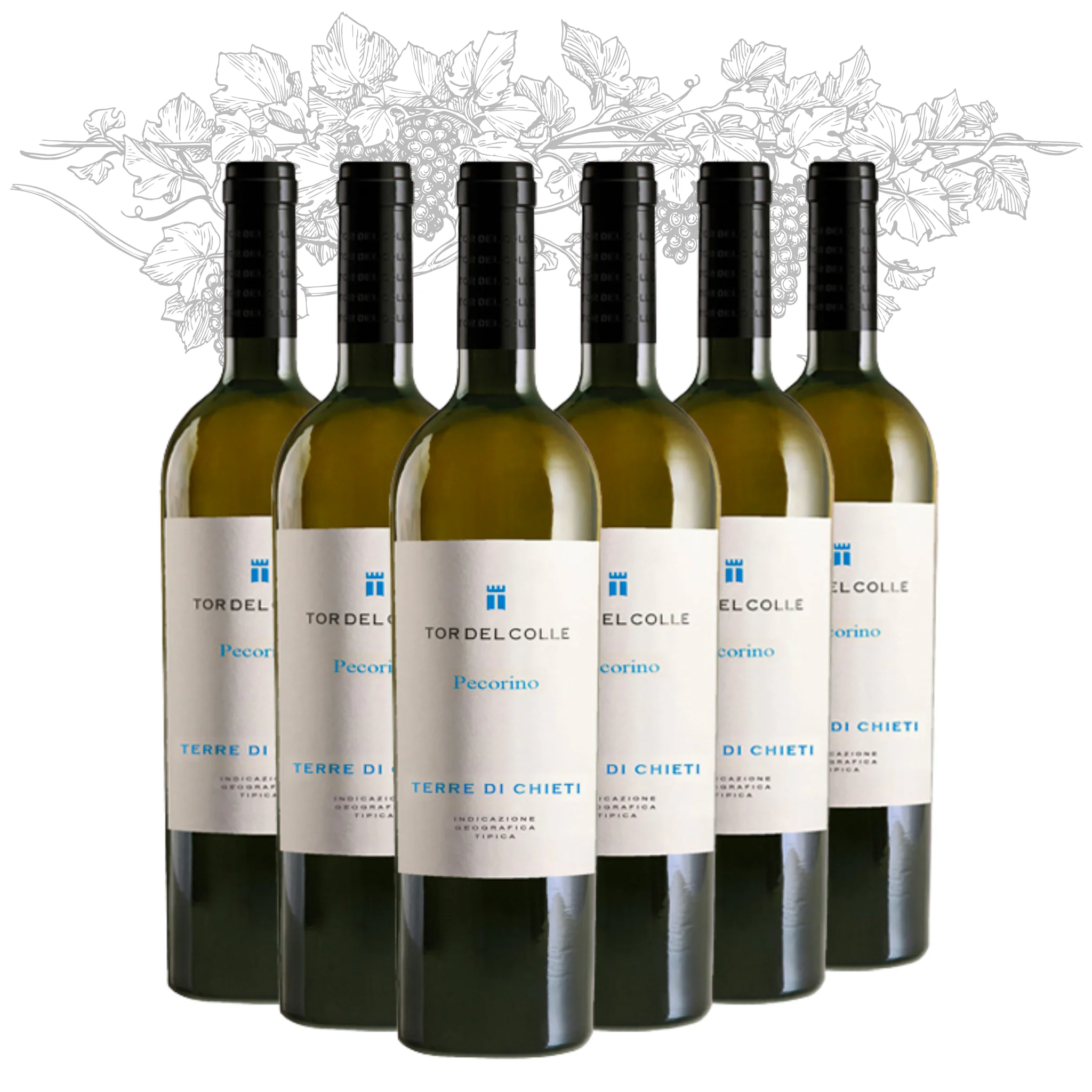 Белое вино премиум-класса Сделано в Италии-Pecorino Pour di Chieti IGT-белые настольные винные бутылки 750 мл алкоголь 13% для