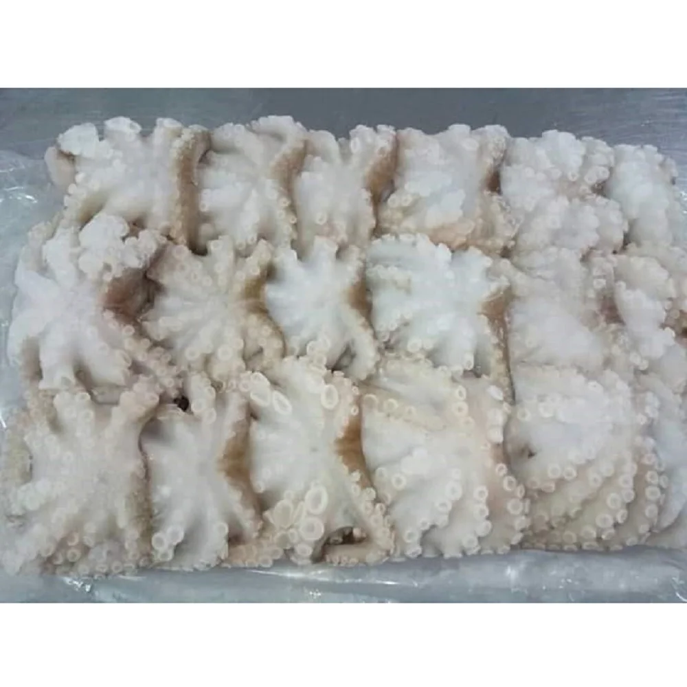 
Malaysia High Quality Seafood Frozen Whole Cleaned Baby Octopus With Cheap Price 