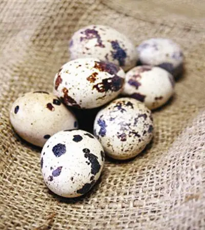 Замороженные предварительно отваренные перепеловые яйца лучшего качества по конкурентоспособной цене, перепеловое яйцо Ms Sophie