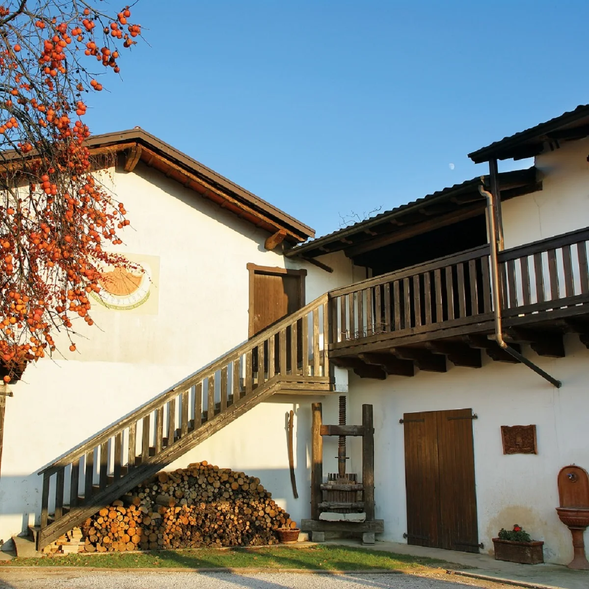 Top Selection Vigna Petrussa Italian Wine RIBOLLA GIALLA FRIULANO RICHENZA SAUVIGNON DESIDERIO PICOLIT  for Horeca wine buyers