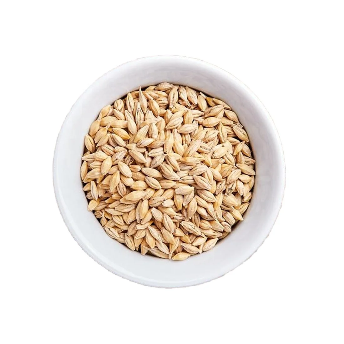 Barley grains healthy food animal feed for animals natural wholesale  bulk organic non-GMO original manufacturer cereal grains